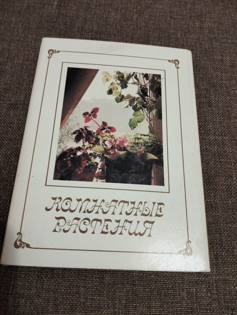 Набор открыток комнатные растения