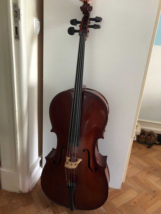 Violoncelo Palatino ¾