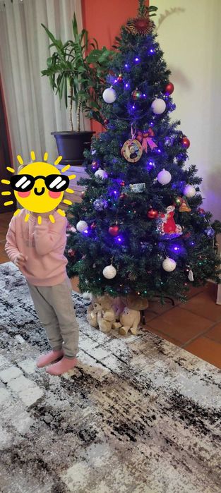 Árvore de Naral 1,80 m