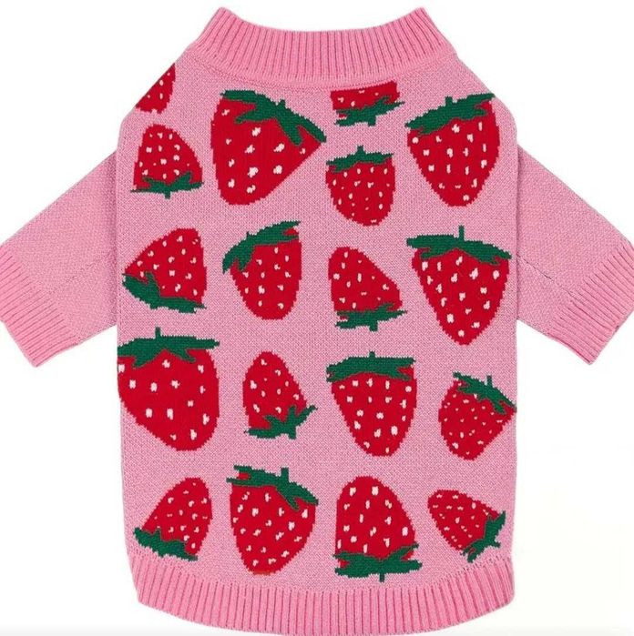 Продам одяг светр для собак.