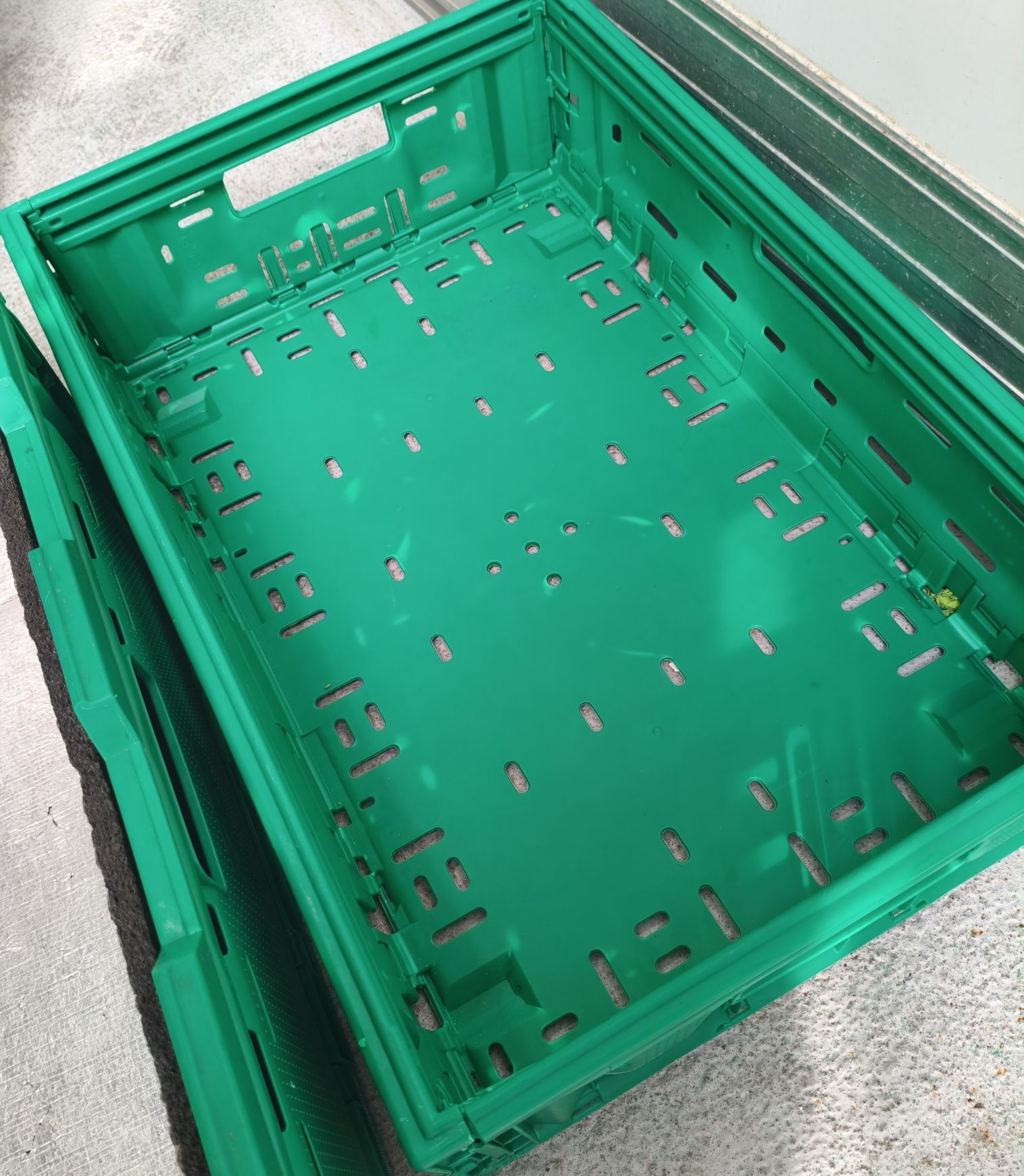 Caixas verdes dobráveis com/sem isolamento térmico