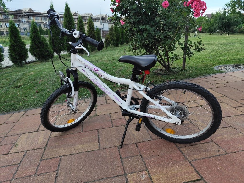 Rower Azimut MTB 20