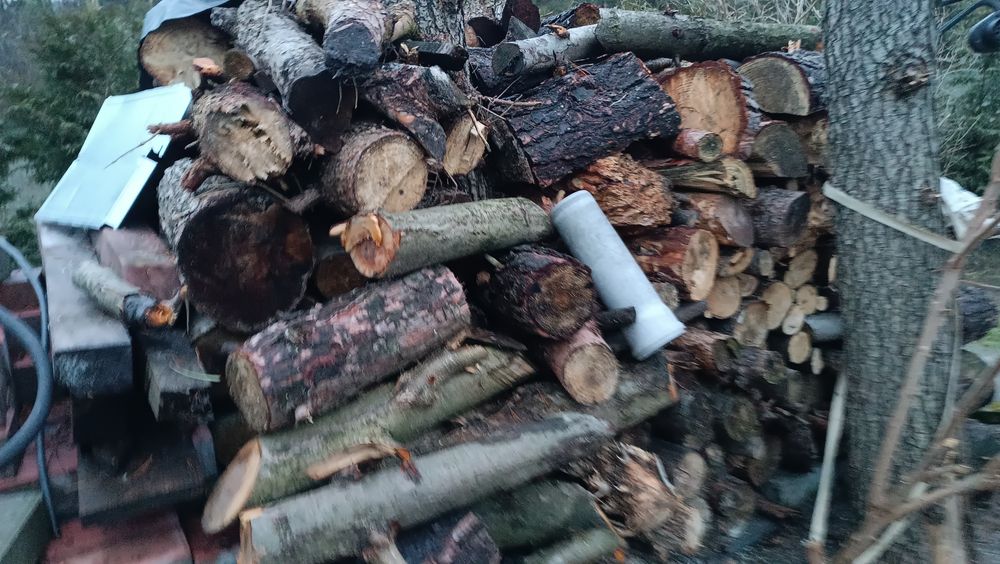 Drewno sosna, olcha około 7-8 kubików