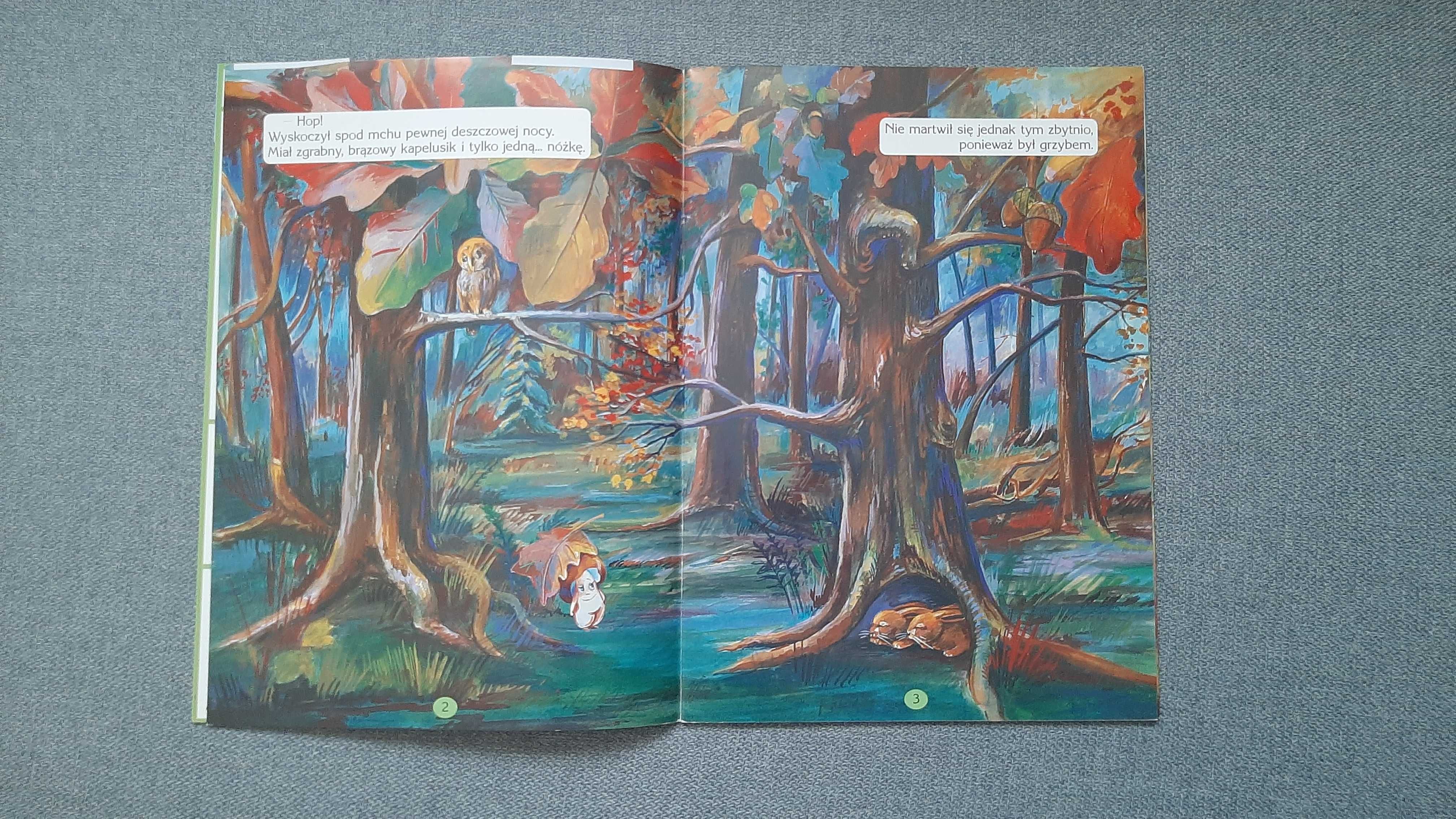 Atlas grzybów dla dzieci gra planszowa Zabawa w chowanego Anna Ziomka