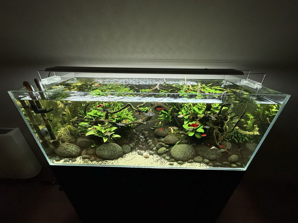 Aquario completo com tratamento de agua e iluminacao Led