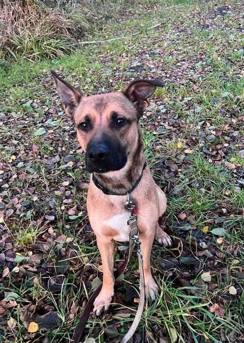 Cafe czeka na dom...