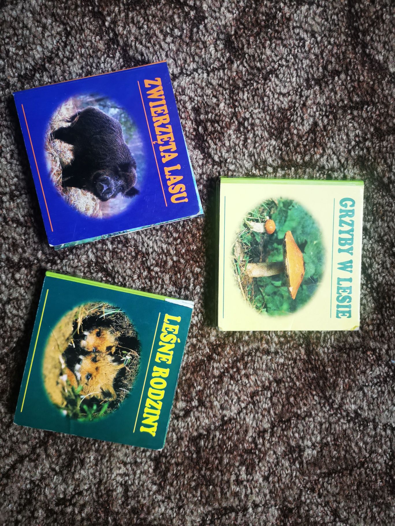 3 książeczki. Zwierzęta lasu, grzyby harmonijkowe
