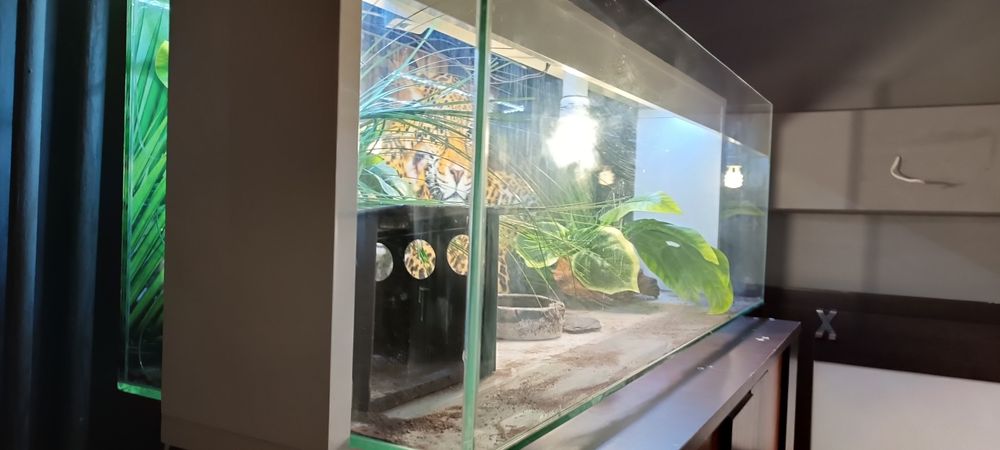 Terrarium wyposażone z oświetleniem.