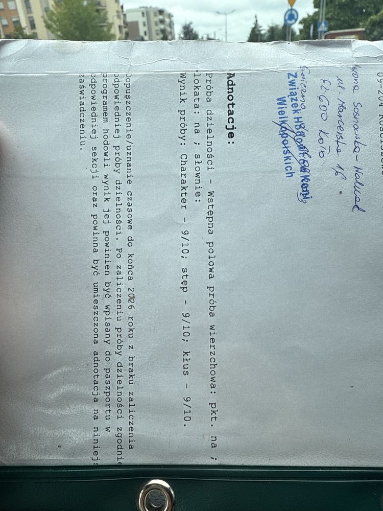 Klacz huculska piekna super kon z wpisem do ksiegi glownej