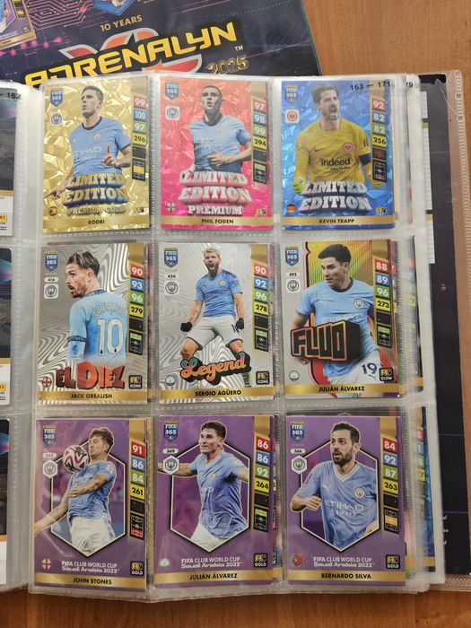 Karty piłkarskie 2025 album Panini Fifa 365