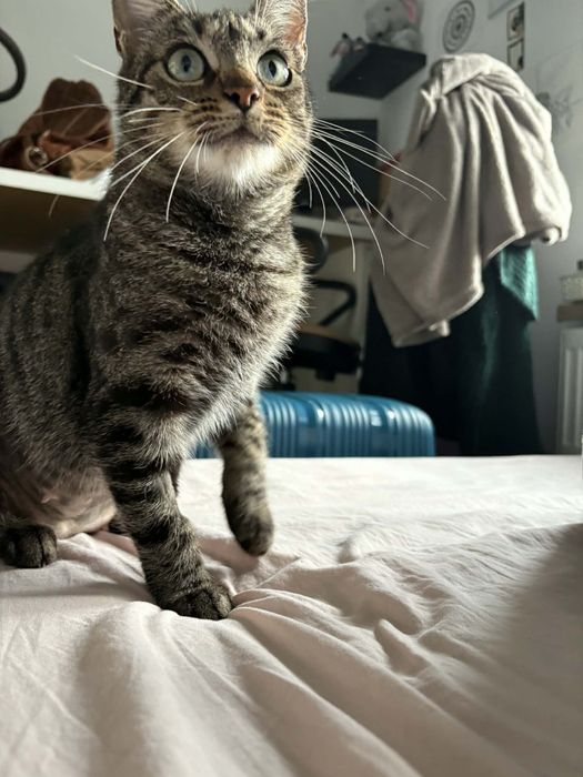 Mini Misia szuka swojego człowieka!