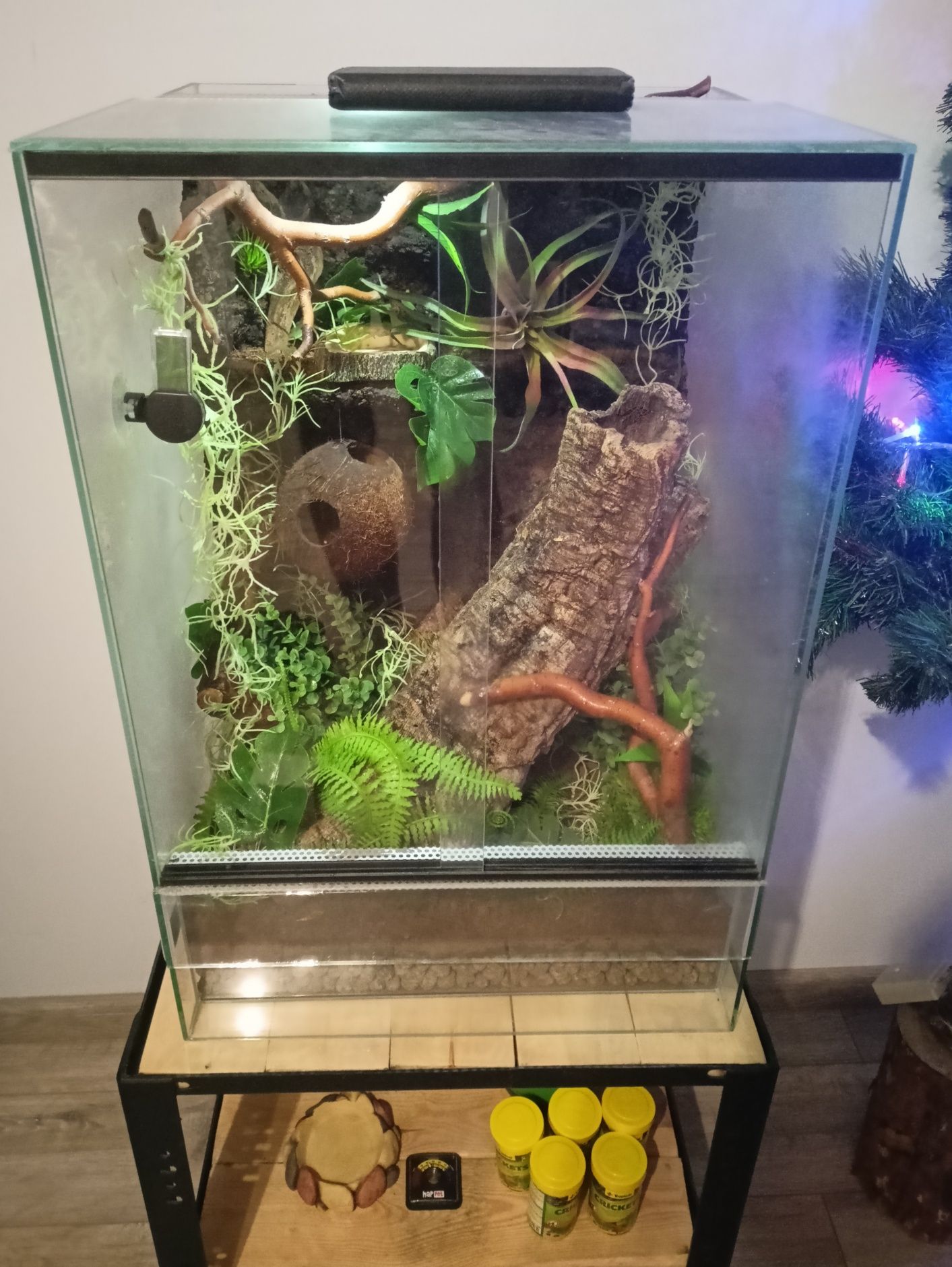 Gotowe terrarium 40x40x60 dla gekona orzęsionego +stolik na wymiar