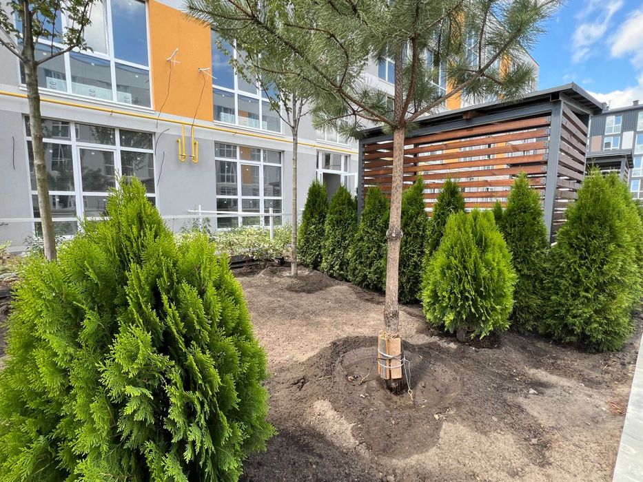 1-кімнатна квартира 27,16 м² з панорамними вікнами у ЖК Sanville Park