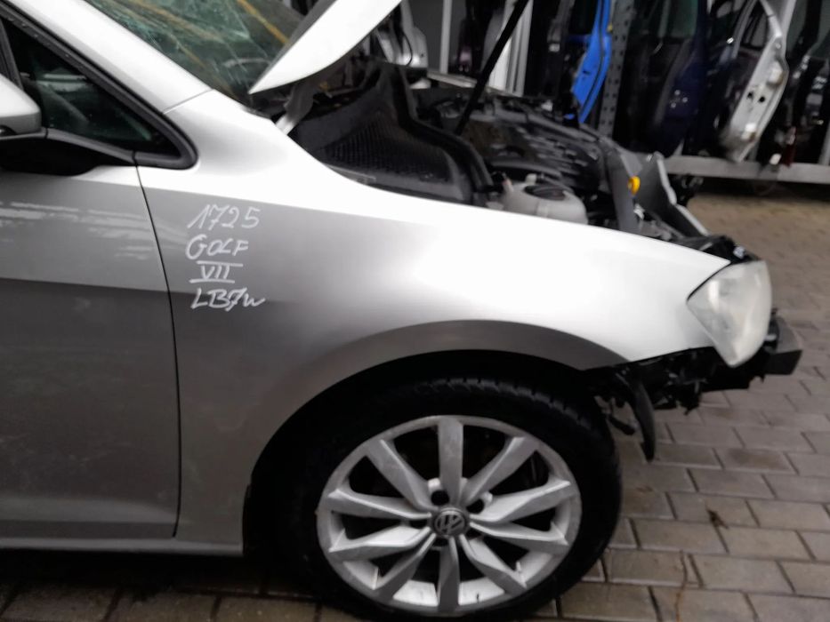 VW GOLF VII BŁOTNIK PRAWY PRZEDNI PRAWY PRZÓD KOLOR: LB7W