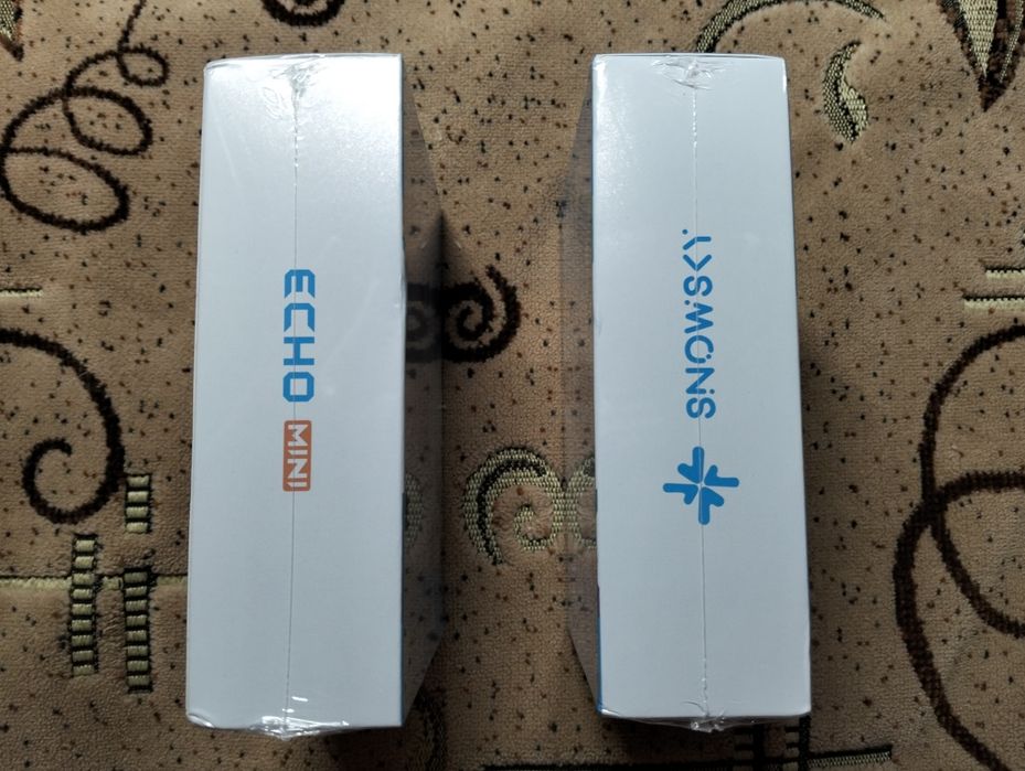 Fiio snowsky echo mini