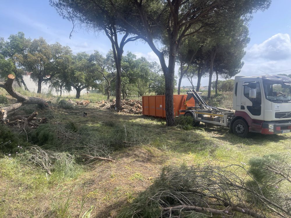 Podas de árvores e limpeza de terrenos