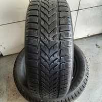 Opona Zimowa VREDESTEN 205/55R16 91T