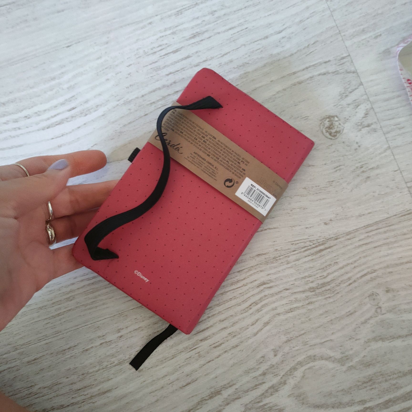 Notes myszka Miki