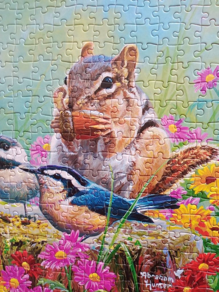 Puzzle Castorland 500 wiewiórka