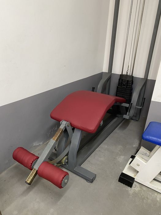 Máquina Leg Curl / Flexora