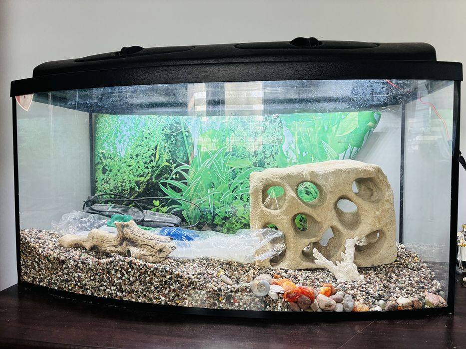Akwarium 120l zestaw! OKAZJA