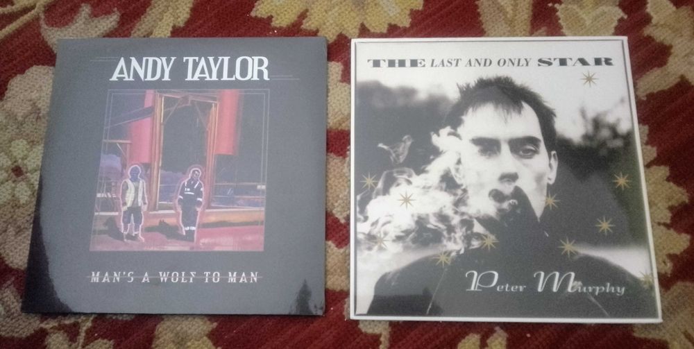 Álbuns em vinil de Peter Murphy e Andy Taylor