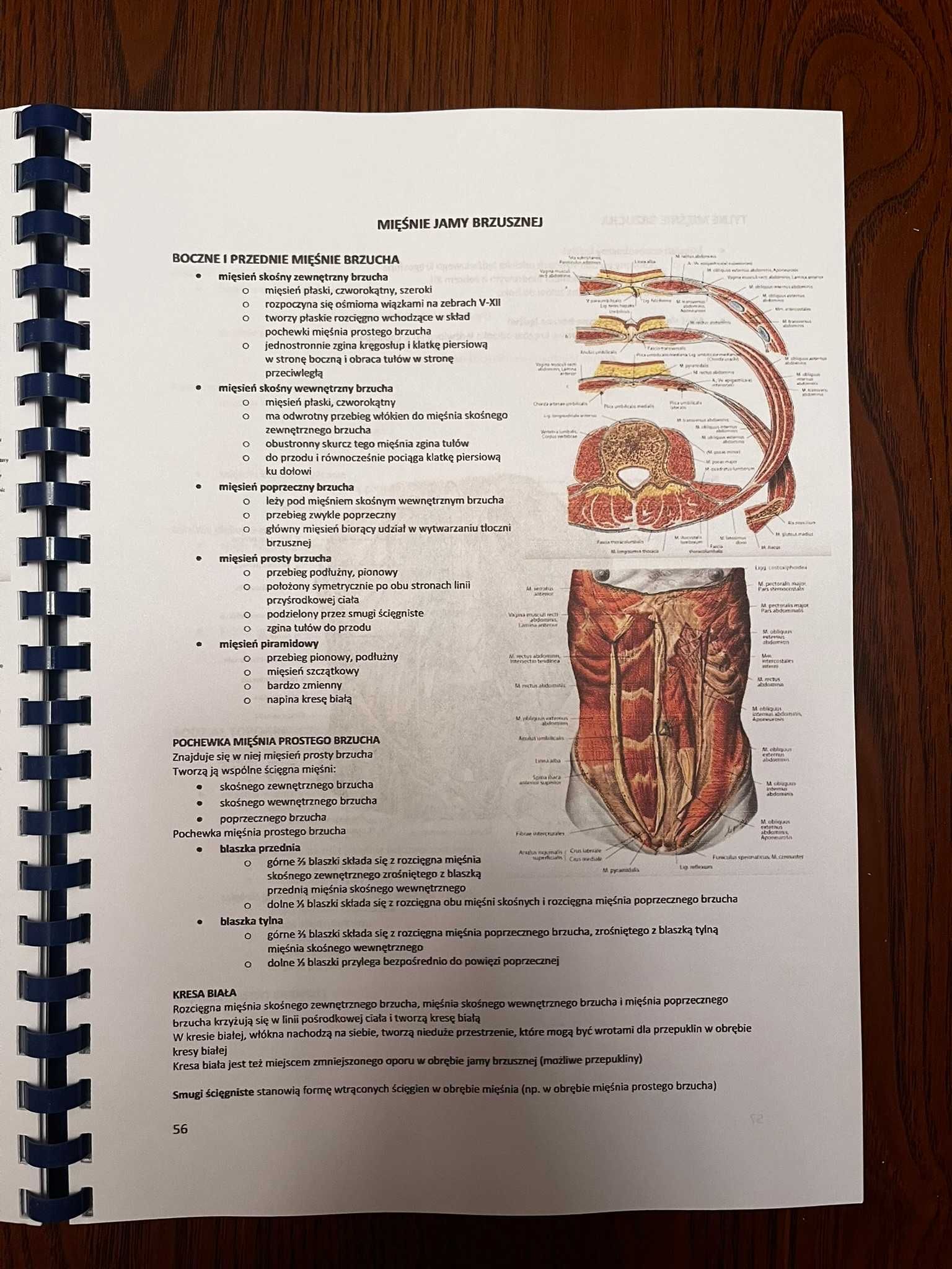 Wiącej nie trzeba wykłady z anatomii semestr I i II