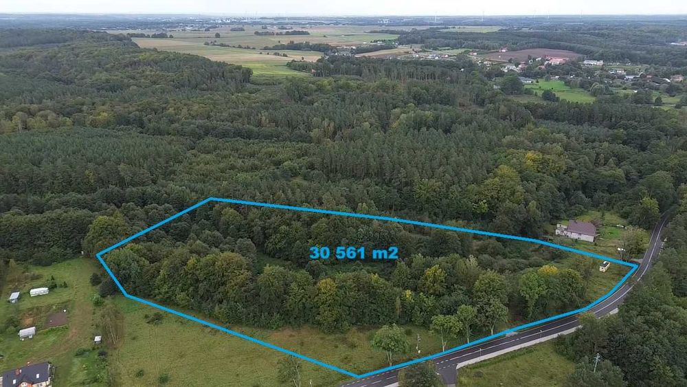 Działka rolno-leśna z warunkami zabudowy*30 561 m2*własny las*strumyk