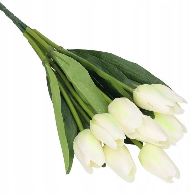 Bukiet Tulipan 9 Łodyg 44 Cm Limonkowo Biały