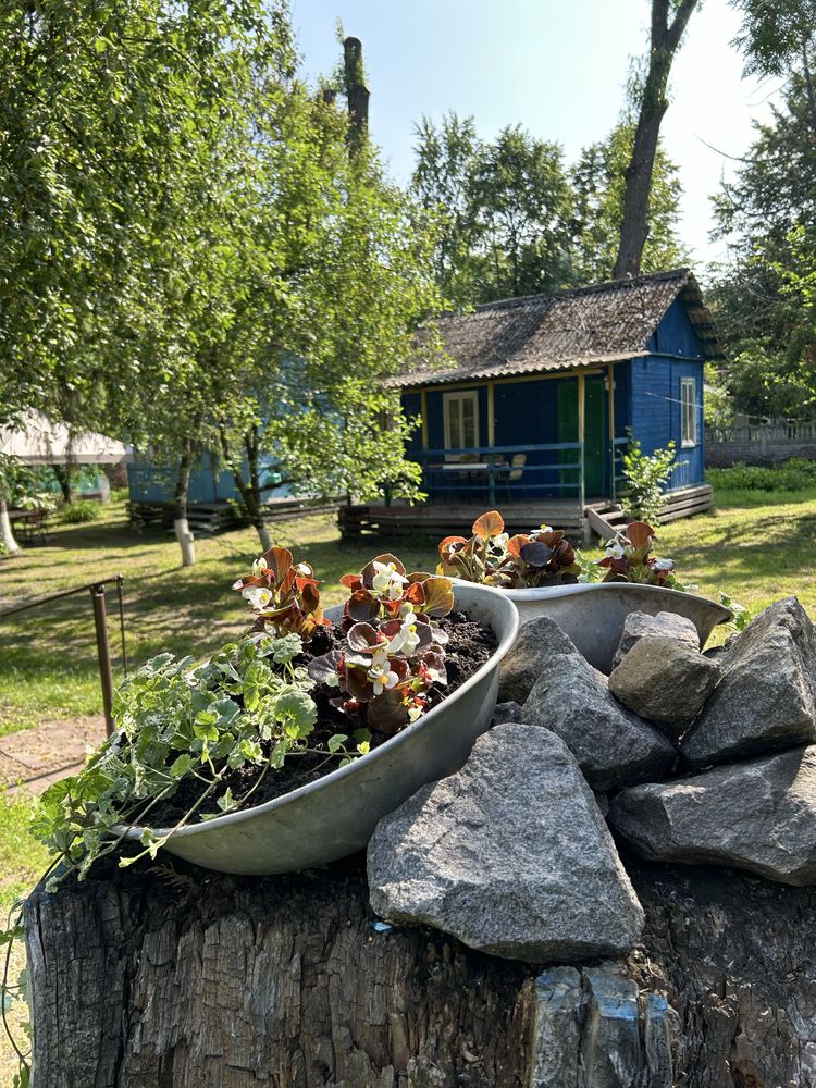 Оренда будиночків Десна с.Літки
