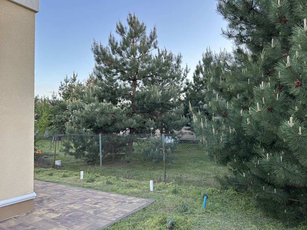 Продам дом в с Старые Кодаки