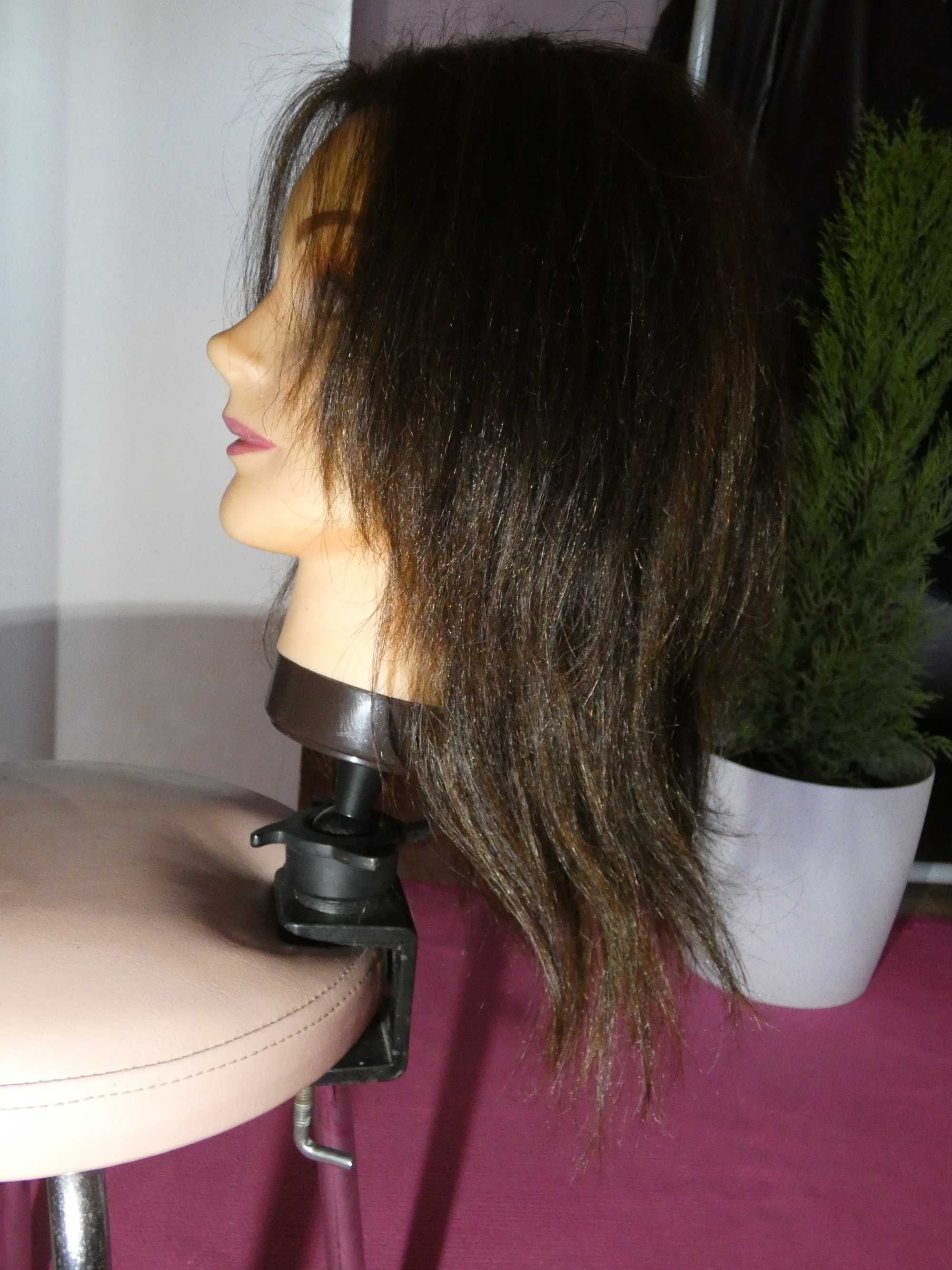 Cabeça/busto de cabelo verdadeiro