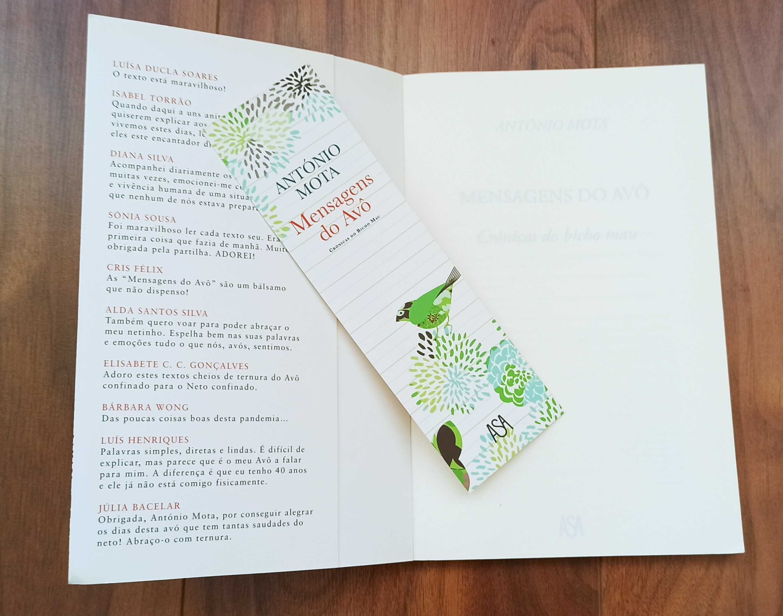 Livro Mensagens do Avo - Crónicas do Bicho Mau de António Mota
