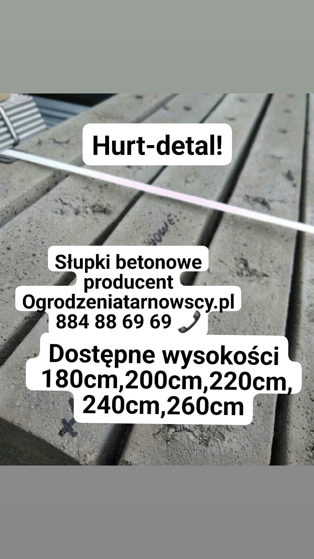 Słupek słupki pastwisko betonowy betonowe siatki leśnej