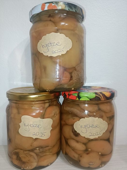 Rydze marynowane zestaw 3x500 ml