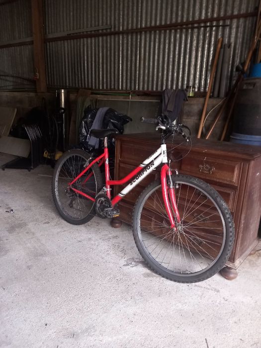 Bicicleta de senhora