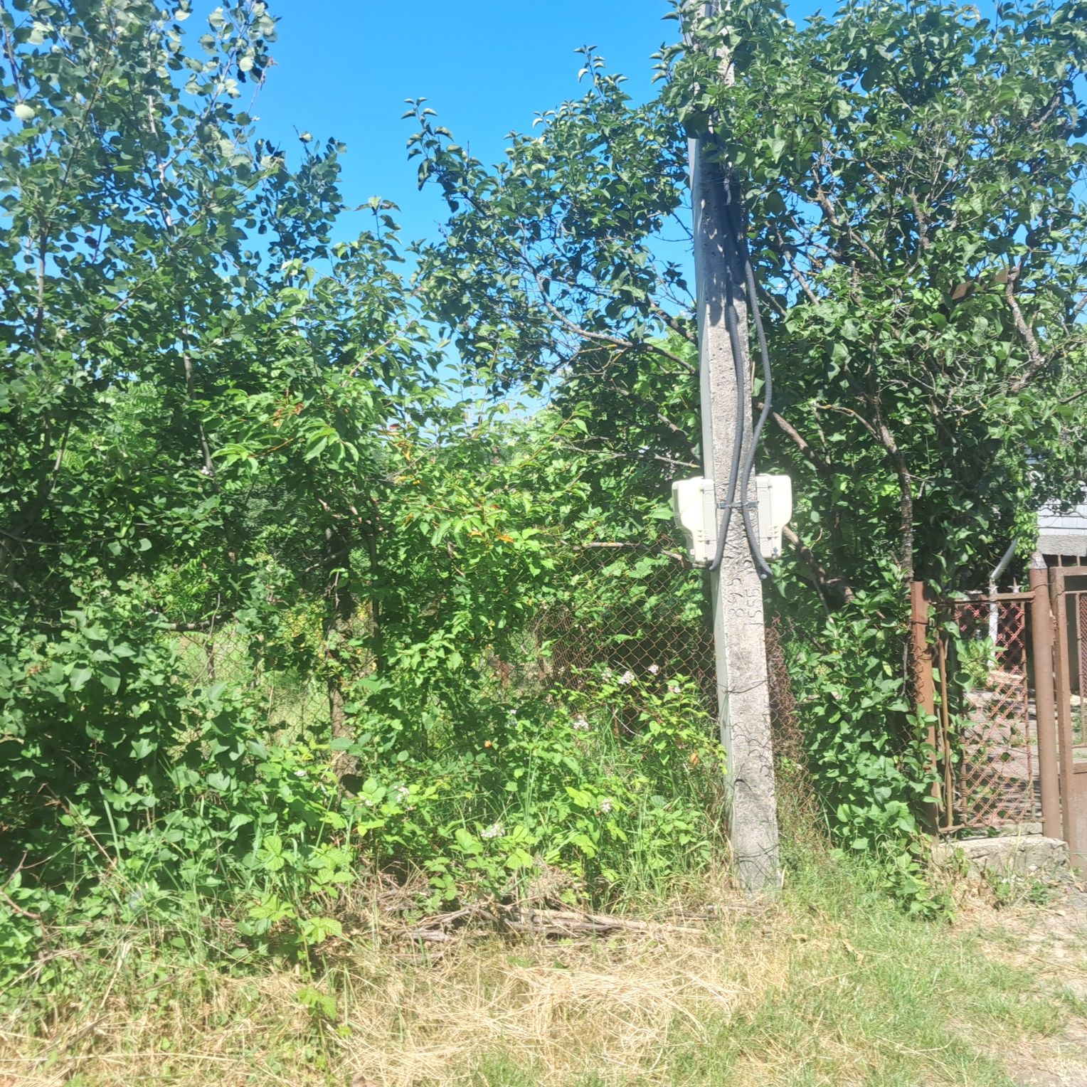 Продам дачну ділянку, коло лісу на Шахті
