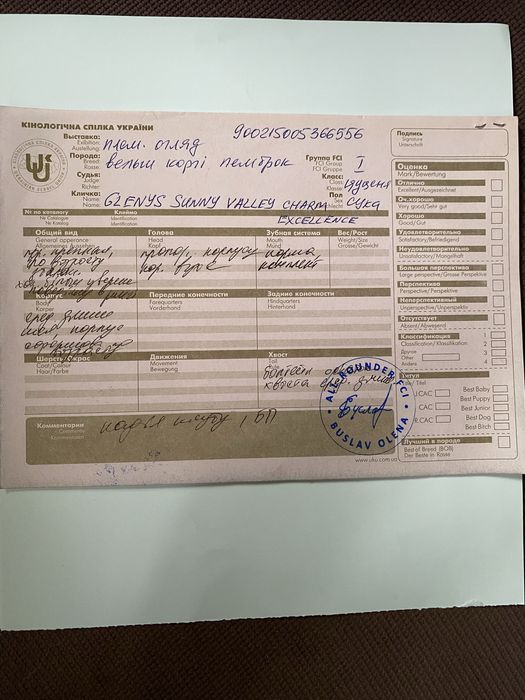 Подрощеная сука вельш корги пемброк, документы КСУ (FCI)