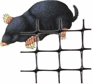 SIATKA NA KRETY bardzo mocna 400m2 - 2mx200m 33g/m2