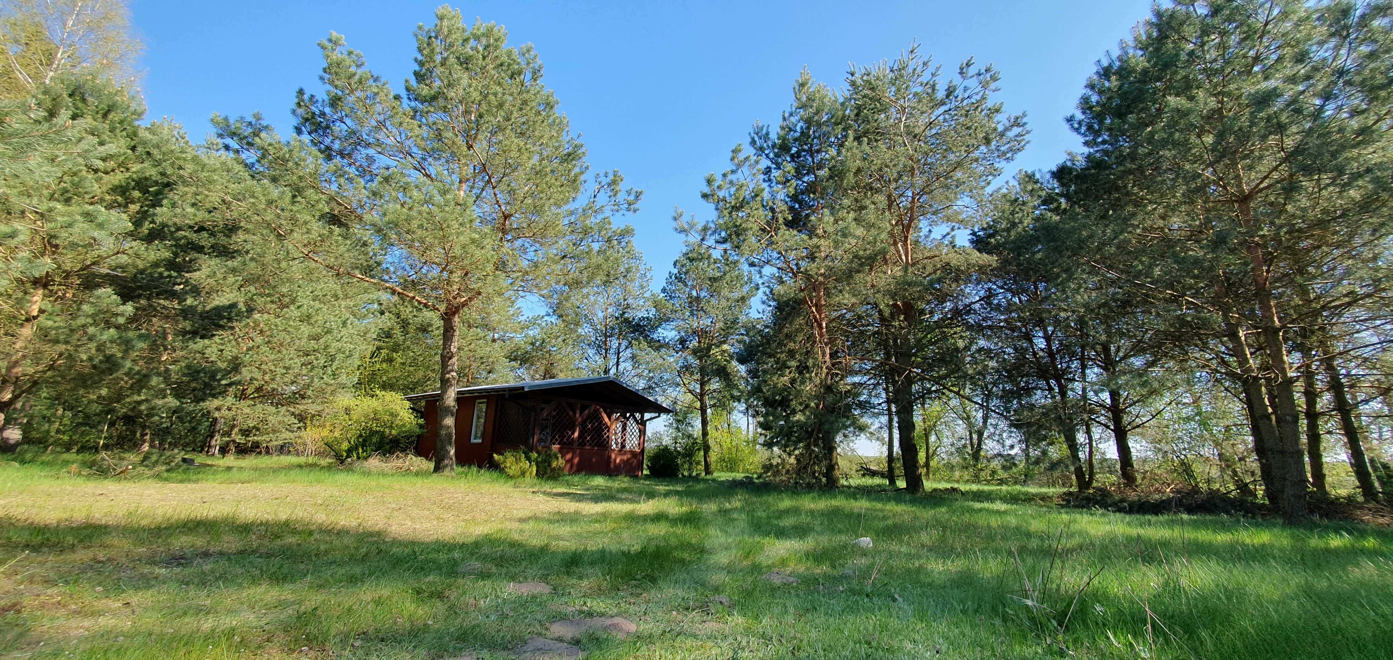 Działka budowlana z domkiem letniskowym nad Białą Nidą TYNIEC Kolonia