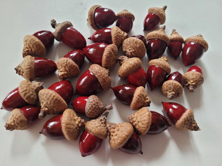 kolorowe żołędzie jesienne dodatki szyszki świąteczny akcent