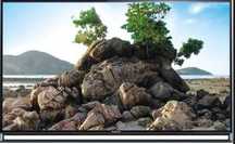 Panasonic TX-55AS800E
 LED 55 cali.  Zastosowana funkcja Smart TV
