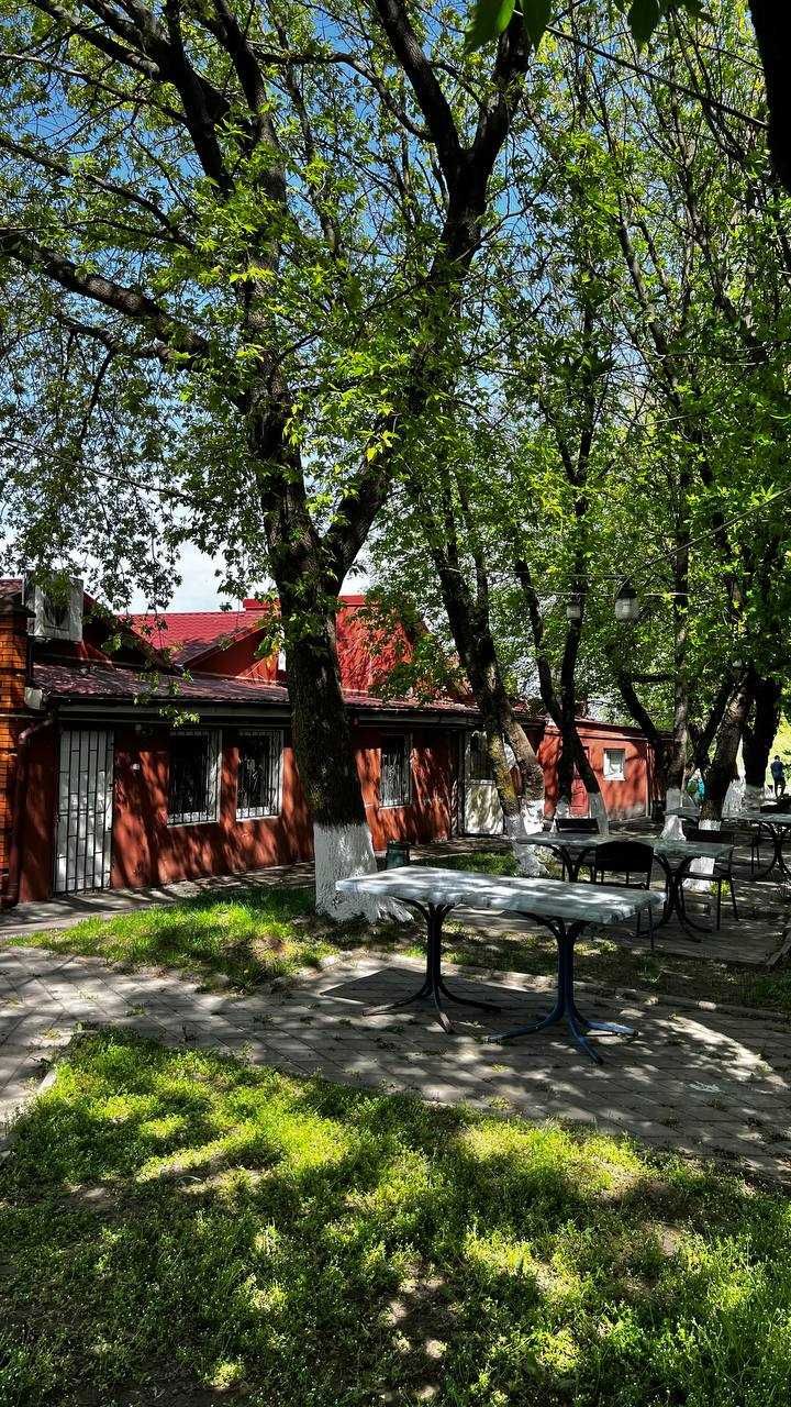 Продаж готового бізнесу на ділянці 27 сот
