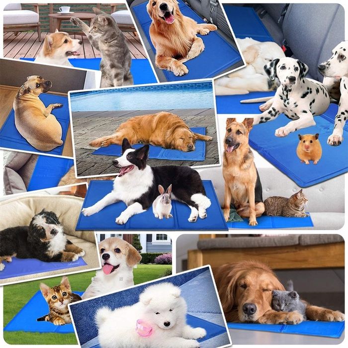 Mata Chłodząca Dla Psa Kota Legowisko Żelowa Xxl