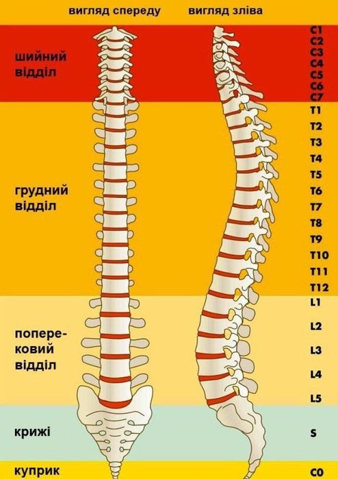Остеопатія масаж