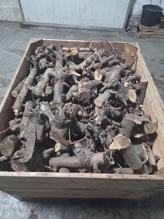 Sprzedam drzewo JABŁONKOWE