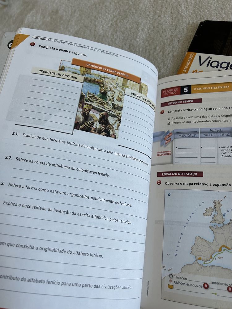 Viagem na historia 7 / areal