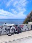 Ridley helium carbono 52