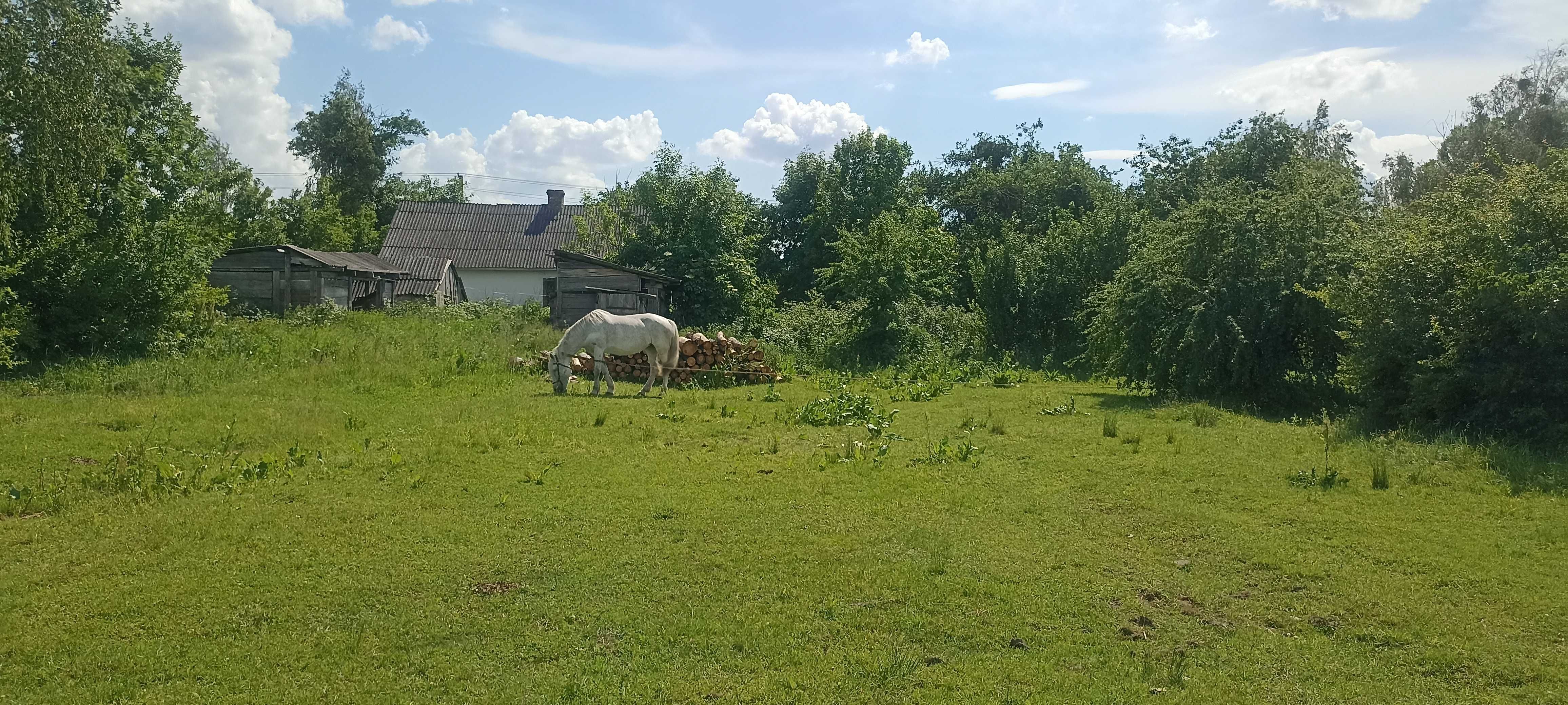 Будинок с.Губків