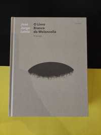 José Jorge Letria - O livro branco da melancolia, Antologia